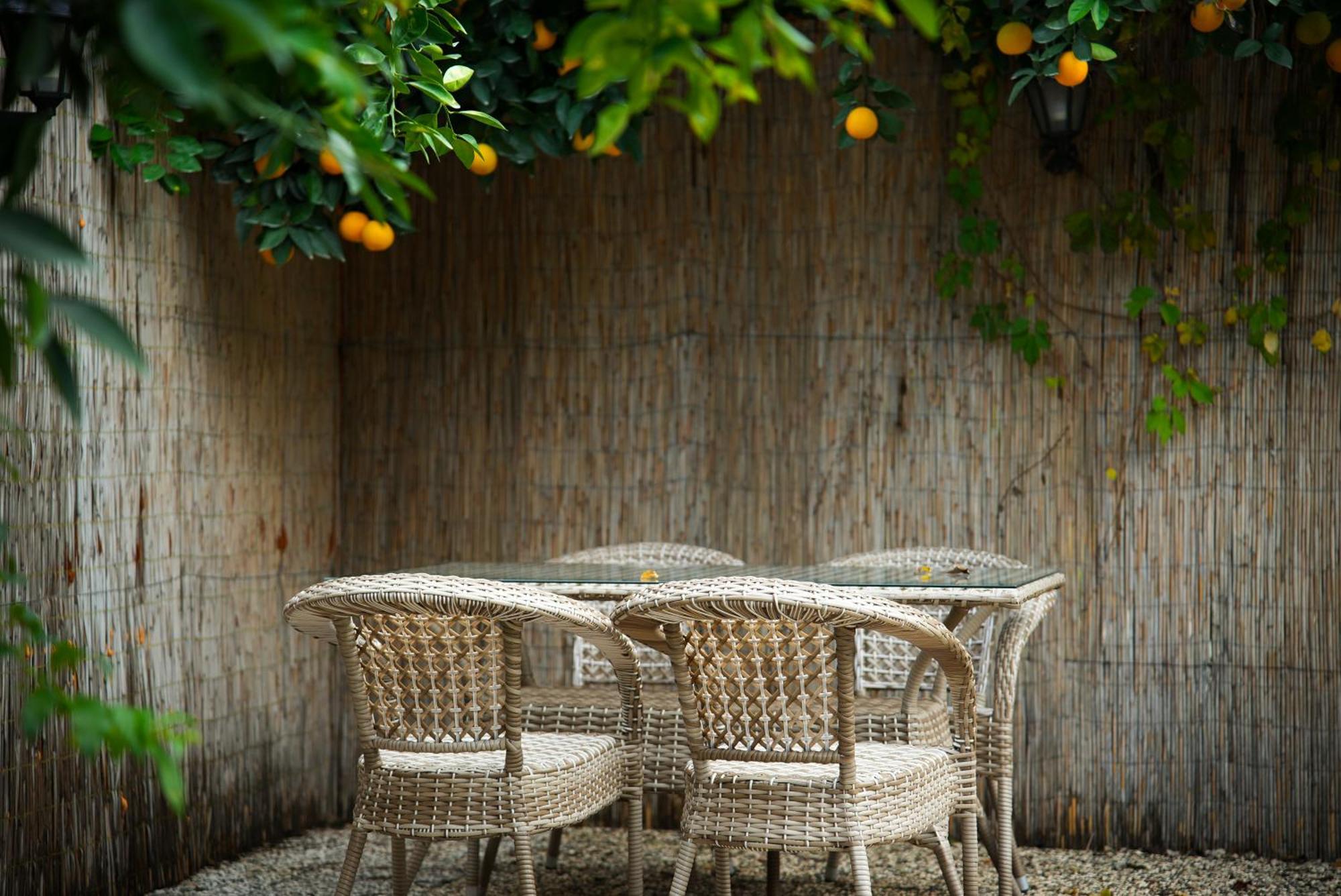 Collesium Garden Bed and Breakfast Antalya Exteriör bild